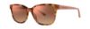 Picture of Vera Wang Sunglasses V479