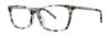 Picture of Vera Wang Eyeglasses VA41