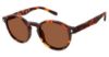 Picture of Champion Sunglasses 6001H