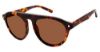 Picture of Champion Sunglasses 6002H