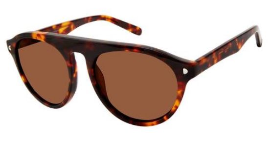 Picture of Champion Sunglasses 6002H