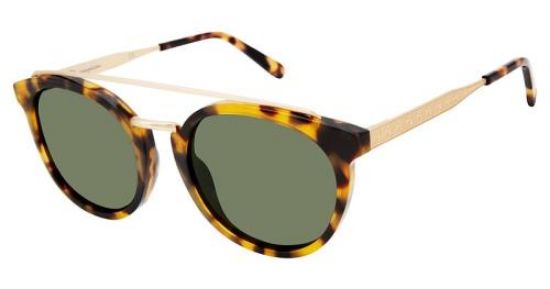 Picture of Champion Sunglasses 6003H