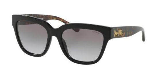 Picture of Coach Sunglasses HC8262F