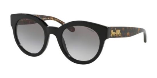 Picture of Coach Sunglasses HC8265F