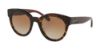 Picture of Coach Sunglasses HC8265F