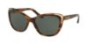 Picture of Ralph Lauren Sunglasses RL8171