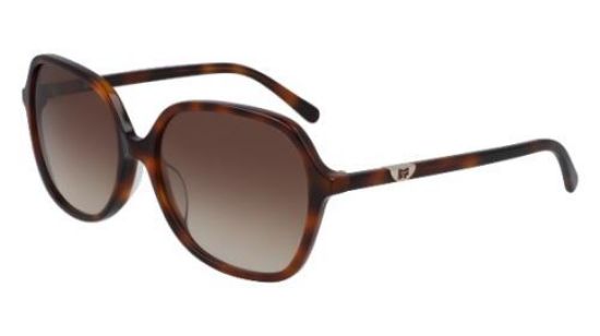 Picture of Dvf Sunglasses 666S HEATHER