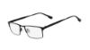 Picture of Flexon Eyeglasses E1010