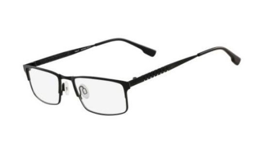 Picture of Flexon Eyeglasses E1010