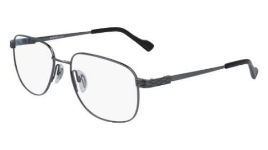 Picture of Flexon Eyeglasses AUTOFLEX 111