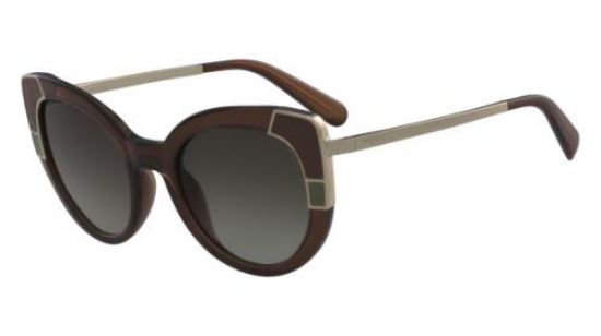 Picture of Salvatore Ferragamo Sunglasses SF890S