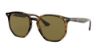 Picture of Ray Ban Sunglasses RB4306