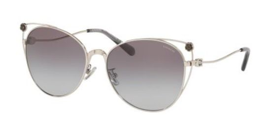 Picture of Coach Sunglasses HC7096B