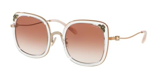 Picture of Coach Sunglasses HC7101B