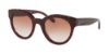 Picture of Coach Sunglasses HC8265