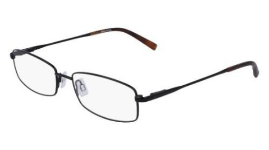 Picture of Nautica Eyeglasses N7298