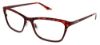 Picture of Steve Madden Eyeglasses KARLEE