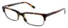 Picture of Steve Madden Eyeglasses RANDO