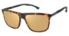 Picture of Champion Sunglasses CLICK