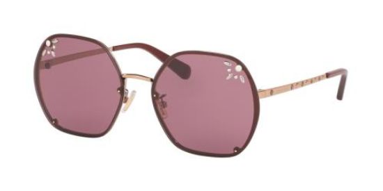 Picture of Coach Sunglasses HC7095H