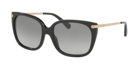 Picture of Coach Sunglasses HC8272