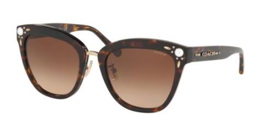 Picture of Coach Sunglasses HC8266H