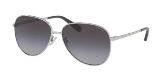 Picture of Coach Sunglasses HC7094