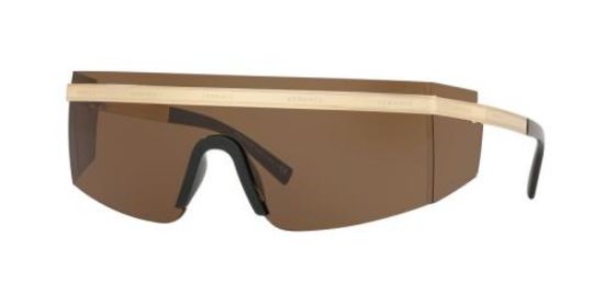 Picture of Versace Sunglasses VE2208