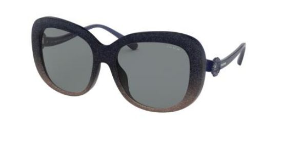 Picture of Coach Sunglasses HC8263U