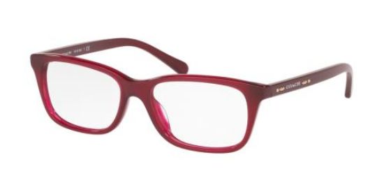 Picture of Coach Eyeglasses HC6136U