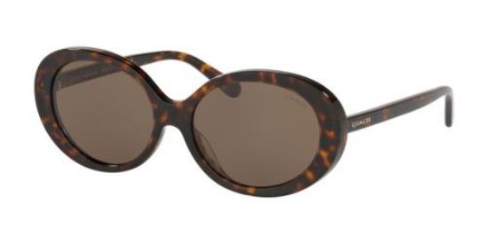 Picture of Coach Sunglasses HC8270U