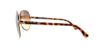 Picture of Michael Kors Sunglasses M2477S KARMEN