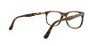 Picture of Polo Eyeglasses PH2086