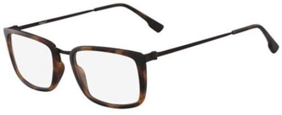 Picture of Flexon Eyeglasses FLEXON E1082