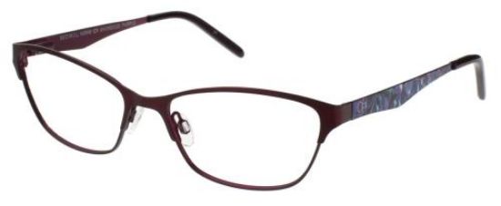 Picture of Ocean Pacific Eyeglasses SHORESIDE