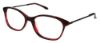 Picture of Bcbgmaxazria Eyeglasses NICOLETTE
