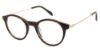 Picture of Champion Eyeglasses 2027