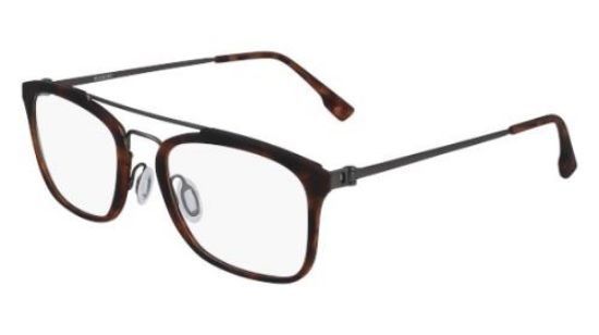Picture of Flexon Eyeglasses E1087