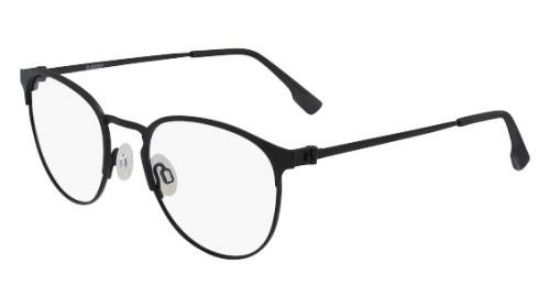 Picture of Flexon Eyeglasses E1089