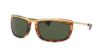Picture of Ray Ban Sunglasses RB2319