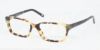 Picture of Polo Eyeglasses PP8514