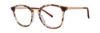 Picture of Vera Wang Eyeglasses V561