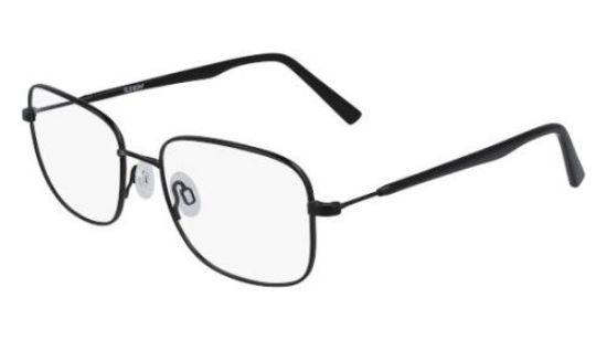 Picture of Flexon Eyeglasses H6011