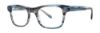 Picture of Penguin Eyeglasses THE EARL