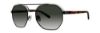 Picture of Penguin Sunglasses THE SONNY