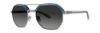Picture of Penguin Sunglasses THE SONNY