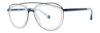 Picture of Penguin Eyeglasses THE MESSENGER