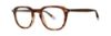 Picture of Penguin Eyeglasses THE MANNY