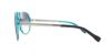 Picture of D&G Sunglasses DD3065