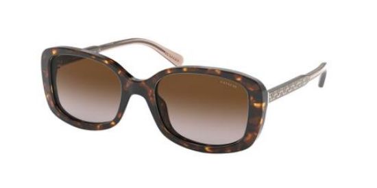 Picture of Coach Sunglasses HC8278F